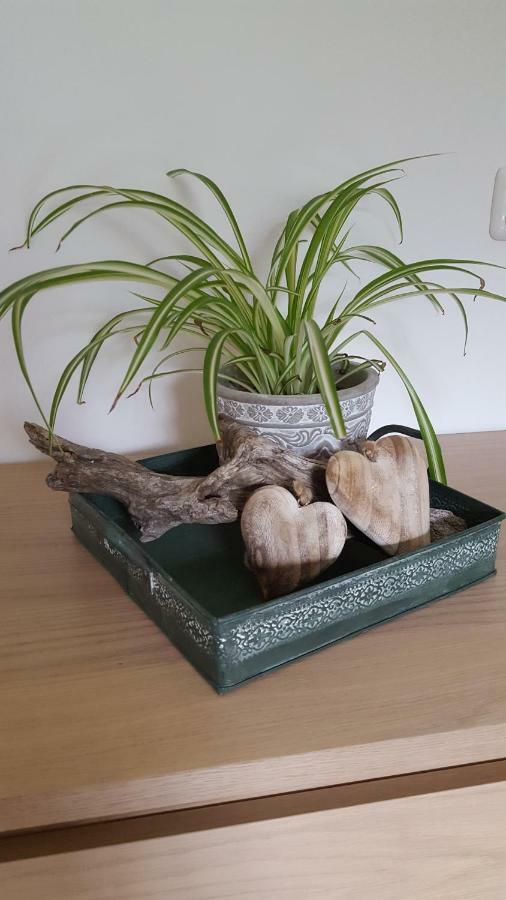 Ferienhaus Saxenauer Hinterstoder Luaran gambar